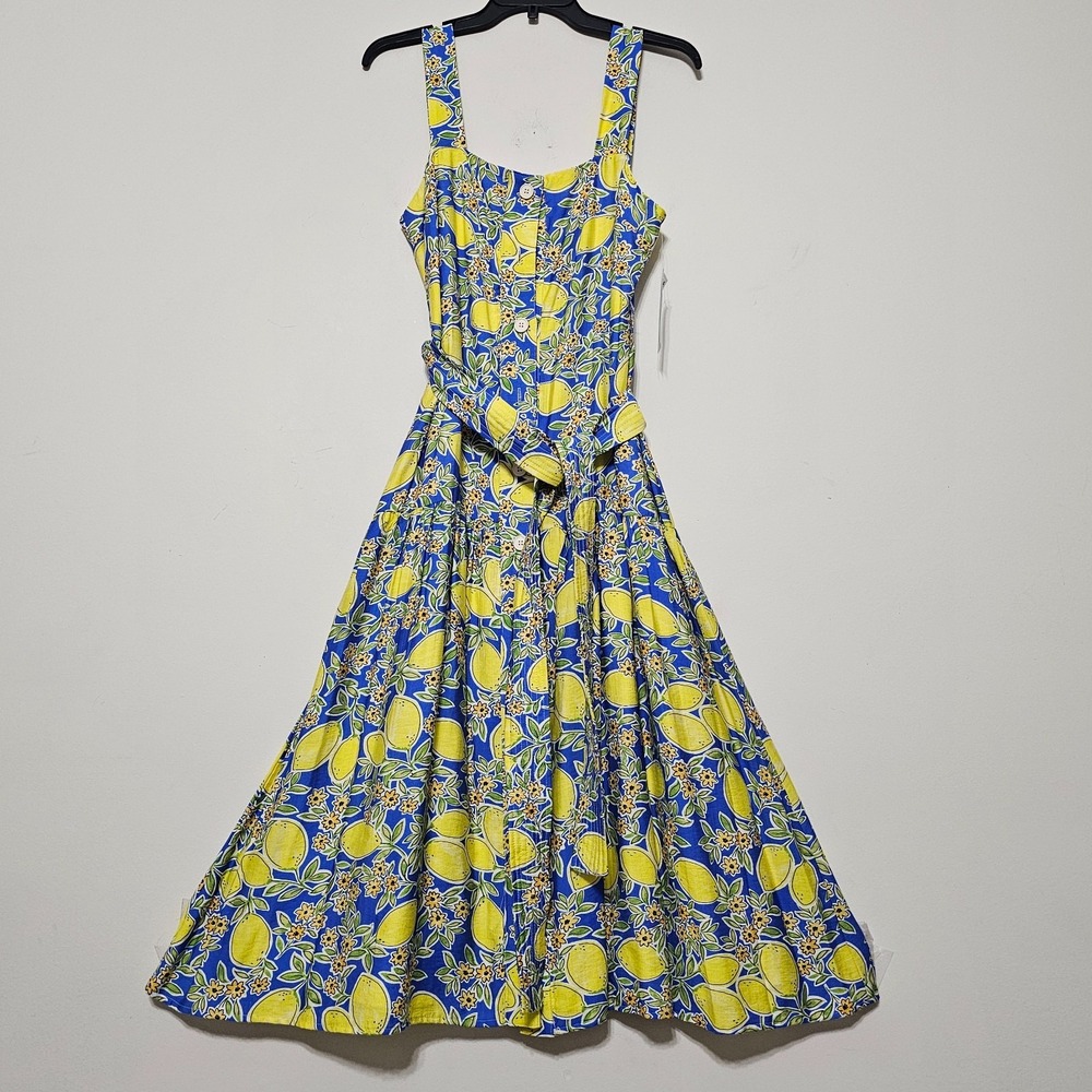TCEC Dress Maxi Small Blue Lemon Floral Sleeveless Squareneck Front Button 0847
